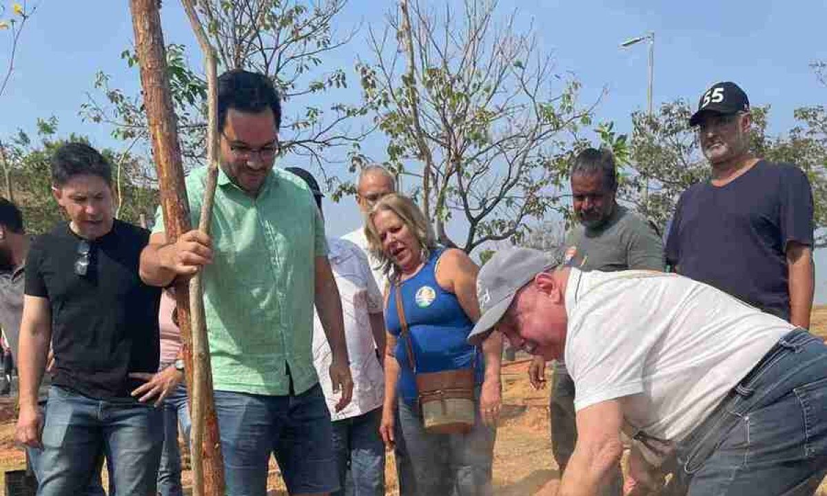 Prefeito Fuad Noman participou do plantio de árvores em Belo Horizonte -  (crédito: Larissa Figueiredo/EM/D.A Press)
