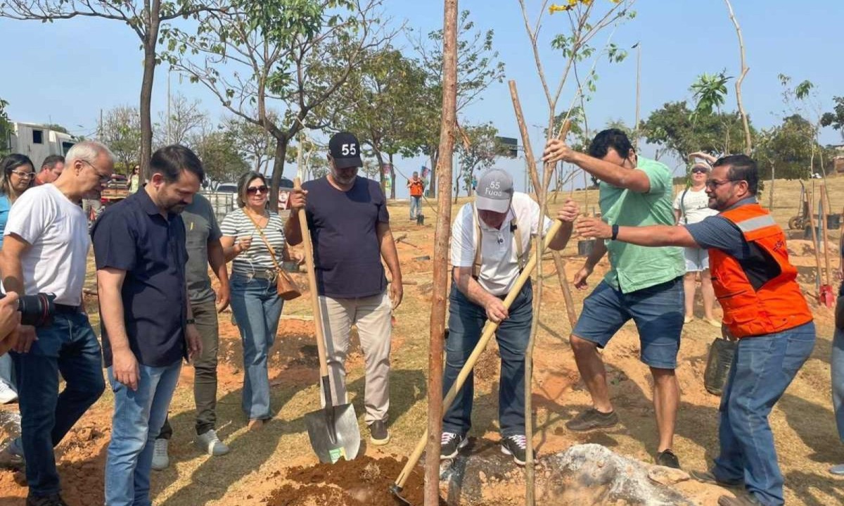 Prefeito Fuad Noman participa de plantio de árvores na Avenida Bernardo de Vasconcelos -  (crédito: Larissa Figueiredo/EM/D.A Press)