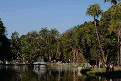 O Parque Municipal Américo Renné Giannetti também foi lembrado pelos concorrentes à PBH
 -  (crédito: Alexandre Guzanshe/EM/D.A Press)