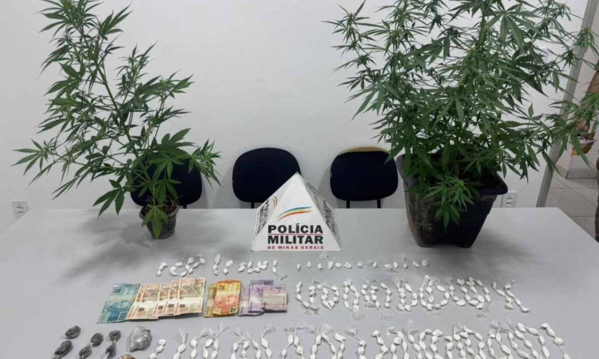 Itens apreendidos nos dois imóveis pelos policiais -  (crédito: PMMG/Divulgação)