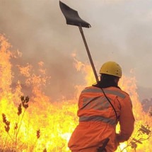 Queimadas: alta demanda faz bombeiros priorizarem quais incêndios atender - Sala de Imprensa/CBMMG