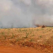 Incêndios em Minas afetam lavouras de café, cana, grãos e outros - Thiago Rocha Xavier/Arquivo pessoal