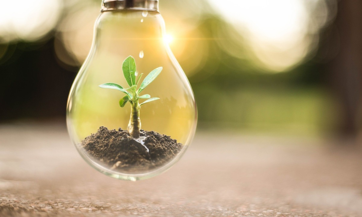  The tree growing on the soil in light bulb. Creative ideas of earth day or save energy and environment concept
     -  (crédito:  Boykowit - stock.adobe.com)