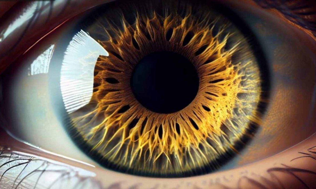 A boa notícia é que nos últimos anos houve avanços significativos no tratamento de doenças da retina -  (crédito: Freepik)