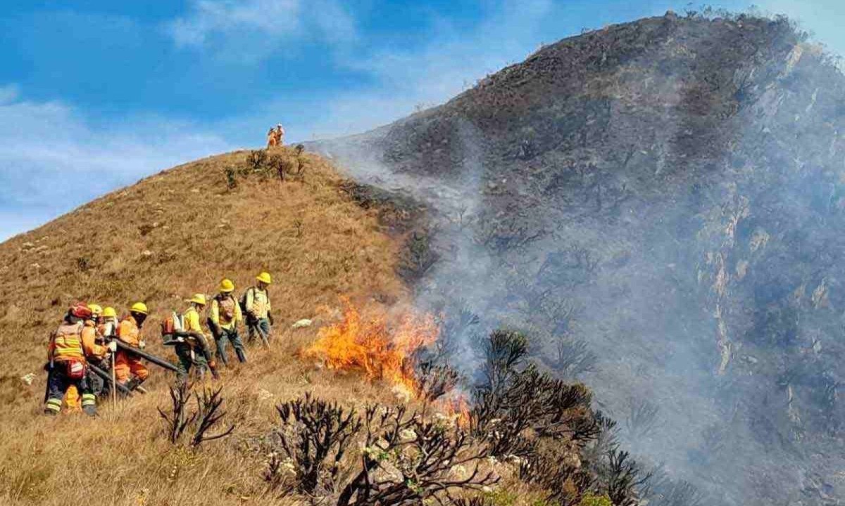 Bombeiros e brigadistas em combate a incêndio florestal na Serra da Moeda, em Brumadinho: desde janeiro, estado já registrou 9.337 focos -  (crédito:  CBMG/Divulgação)