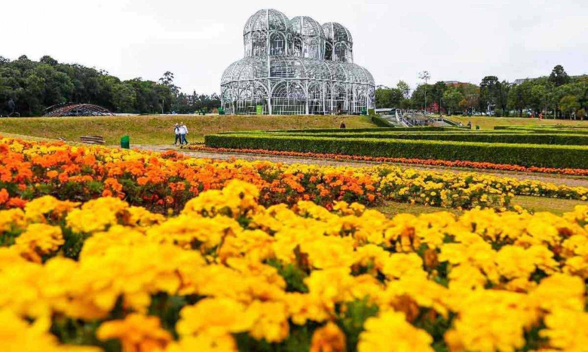 O Jardim Bot&acirc;nico, s&iacute;mbolo da capital paranaense, fica mais encantador com a primavera em um dos cart&otilde;es-postais de Curitiba -  (crédito: Pedro Ribas/ Secult Curitiba)