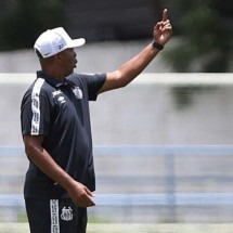 Orlando Ribeiro comanda o Santos no Brasileirão de Aspirantes -  (crédito:  PEDRO ERNESTO GUERRA AZEVEDO)