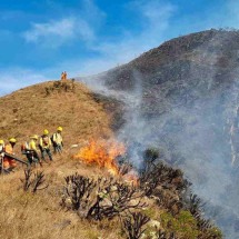 Perigo ultrapassa as chamas na linha de combate ao fogo -  CBMG/Divulgação