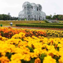 Ode à primavera: 10 cidades floridas do Brasil que você precisa conhecer - Pedro Ribas/ Secult Curitiba