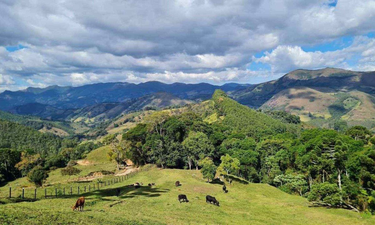 Imagem de morro coberto por grama verde e diversas árvores. Ao fundo é possível ver montanha e, mais acima, céu claro coberto por nuvens. 