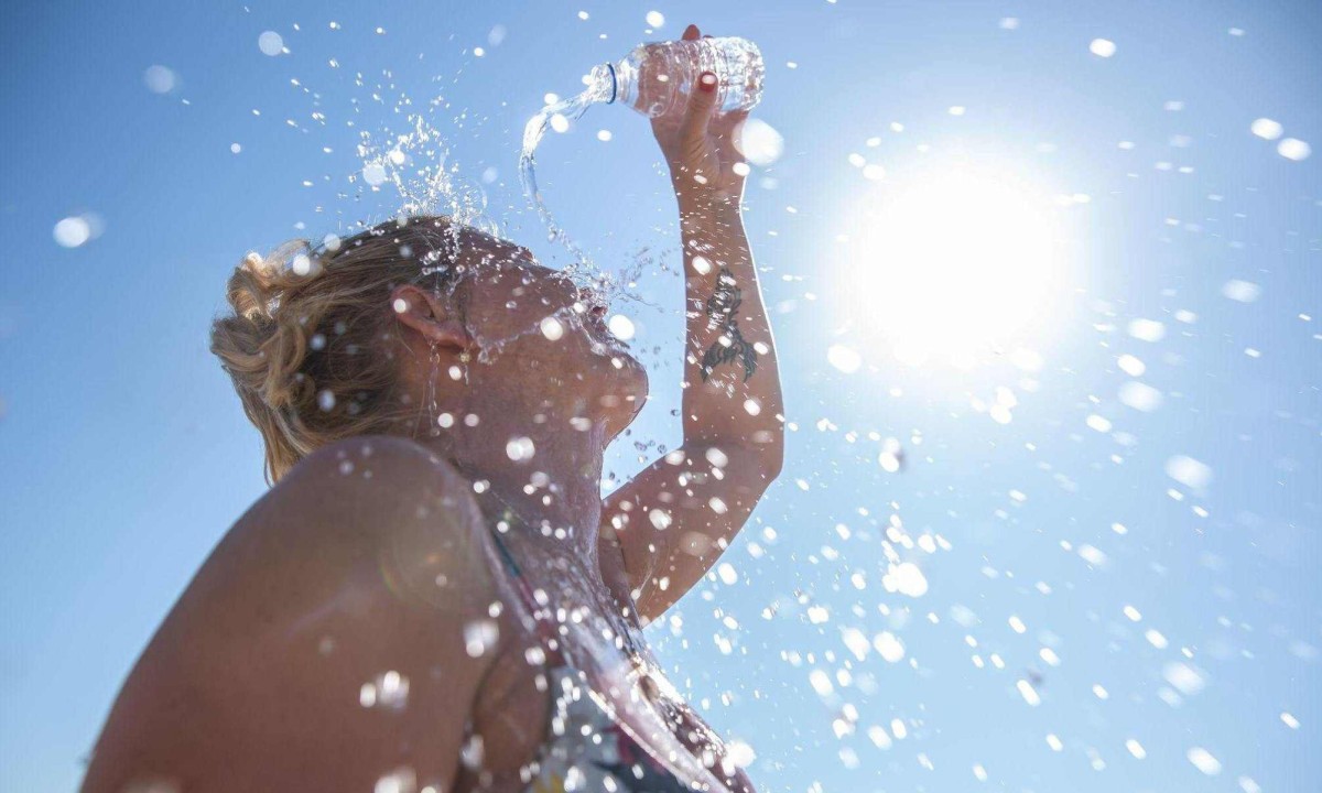 Há cuidados também a tomar para proteger os pets do calor extremo -  (crédito: BBC)