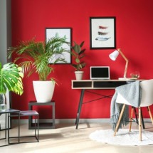 Aspectos do Feng Shui podem ser usados para decorar a casa na primavera (Imagem: Pixel-Shot | Shutterstock) -  (crédito: EdiCase)