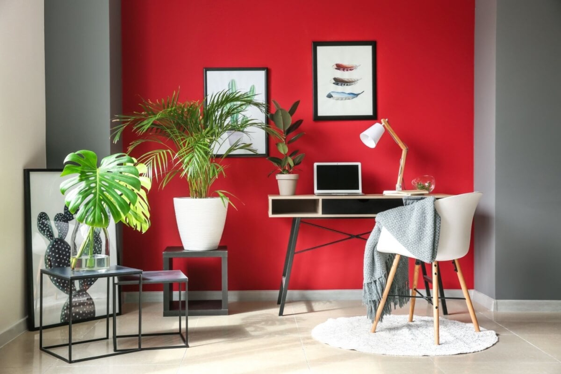 5 dicas de Feng Shui para melhorar a energia da casa na primavera