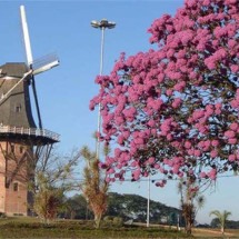 Moinhos de vento em belas paisagens da Holanda - Moinhospovosunidos.com.br