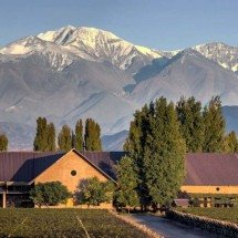 Como ter experiência Michelin em vinícola aos pés da Cordilheira dos Andes - Susana Balbo/Divulgação