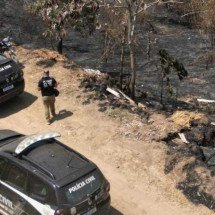 MG: posseiro de invasão é suspeito de atear fogo em parque - Reprodução / Polícia Civil