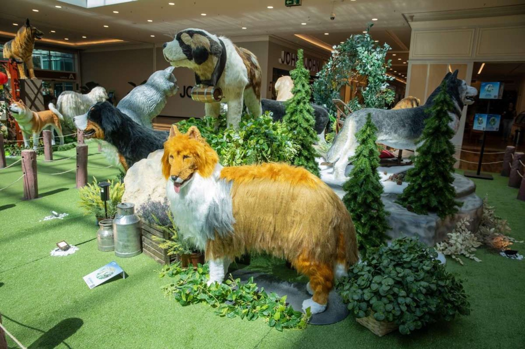 BH: raças famosas de cães e gatos ganham réplicas em exposição gratuita