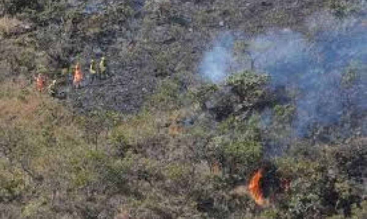 Fogo já queimou uma grande área de mata -  (crédito: (foto: Gladyston Rodrigues/EM/D.A.Press))