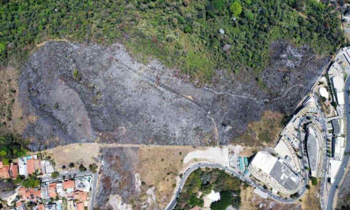 Inc&ecirc;ndio atingiu a mata da Unidade de Conserva&ccedil;&atilde;o Esta&ccedil;&atilde;o Ecol&oacute;gica do Cercadinho, na Regi&atilde;o Oeste de Belo Horizonte -  (crédito: Leandro Couri / EM / D.A Press)