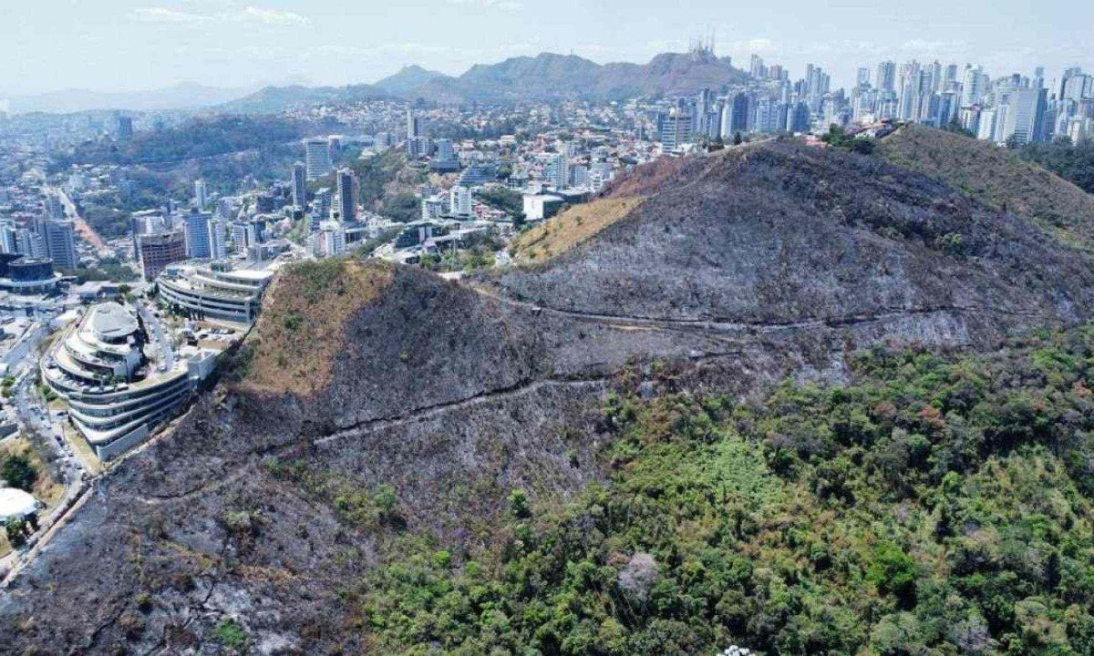 Inc&ecirc;ndio atingiu a mata da Unidade de Conserva&ccedil;&atilde;o Esta&ccedil;&atilde;o Ecol&oacute;gica do Cercadinho, na Regi&atilde;o Oeste de Belo Horizonte -  (crédito: Leandro Couri/Em/D.A Press)