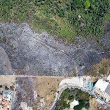 Incêndio na Mata do Cercadinho ainda é monitorado pelos bombeiros - Leandro Couri / EM / D.A Press