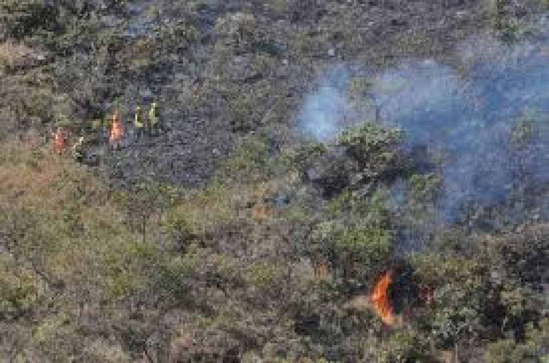 Fogos de artifício podem ter sido detonador de fogo no Cercadinho