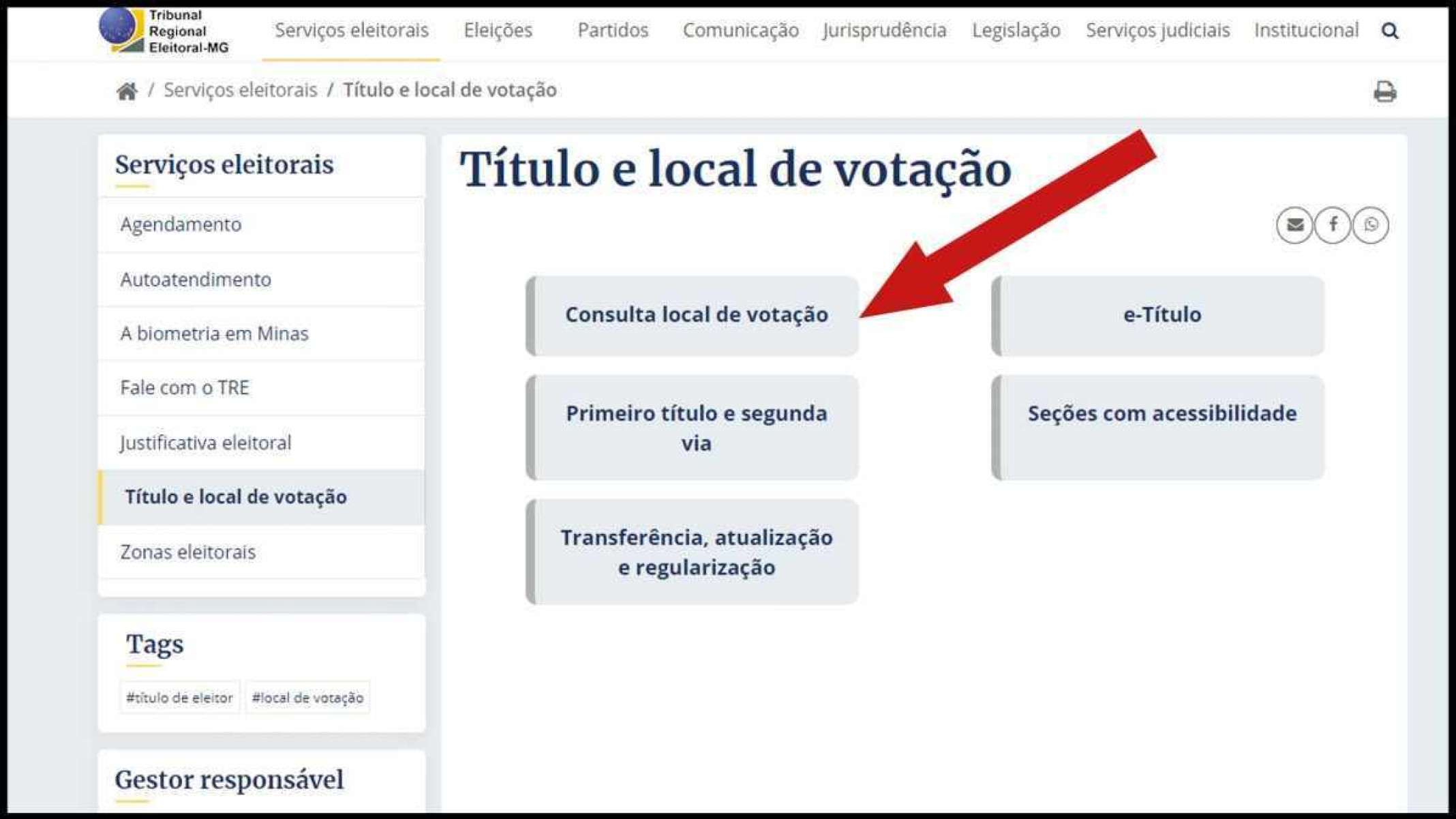 Site do TRE-MG: veja como pesquisar sua seção eleitoral