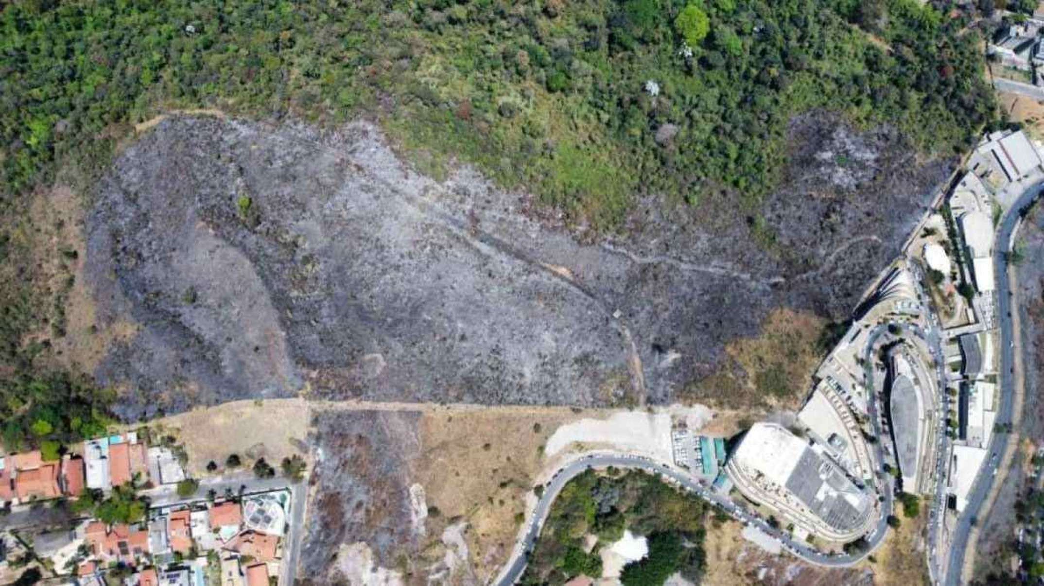 Incêndio na Mata do Cercadinho ainda é monitorado pelos bombeiros