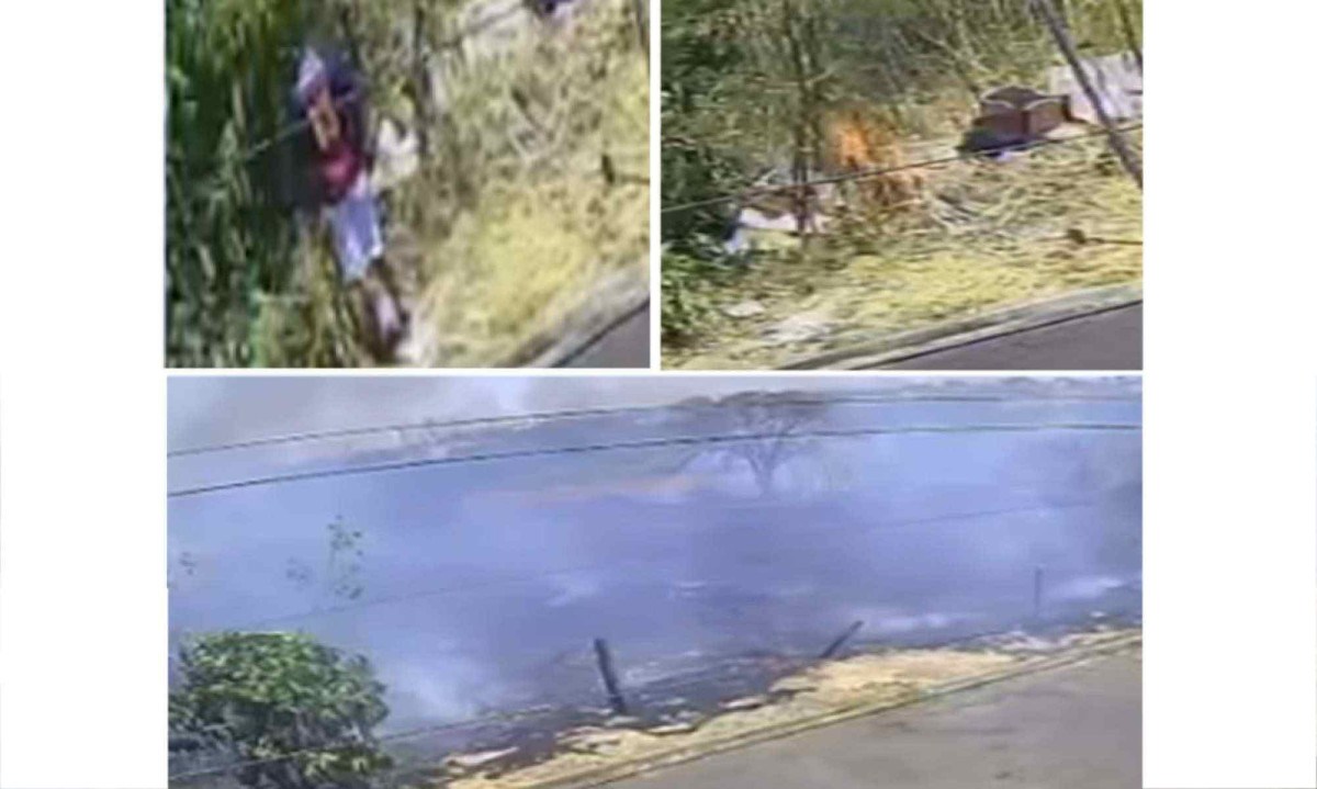 Vídeo: homem coloca fogo em mata e provoca incêndio de grandes proporções -  (crédito: Rede de Noticias)