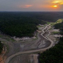 Seca deixa afluentes do rio Amazonas em 'situação crítica' - MICHAEL DANTAS / AFP