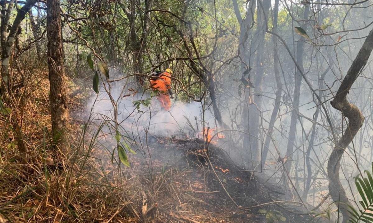 Brigadistas do parque farão monitoramento da situação -  (crédito: CBMMG)