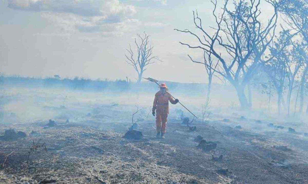 Desolação na Serra da Canastra: programa da Nasa detectou que região foi a que sofreu maior impacto em um único dia de julho -  (crédito: CBMMG/Divulgação)