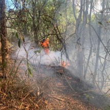 MG: incêndio no entorno do Parque Estadual do Ibitipoca é controlado - CBMMG