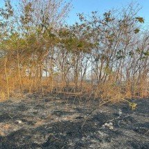 Incêndio ameaça Parque Estadual da Lapa Grande no Norte de Minas - CBMMG / Divulgação