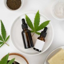 Estudo: cannabis medicinal pode promover efeito anti-idade no cérebro - Freepik