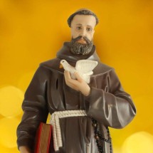 Dia de São Francisco de Assis: 5 simpatias para saúde e proteção do seu pet - Depositphotos