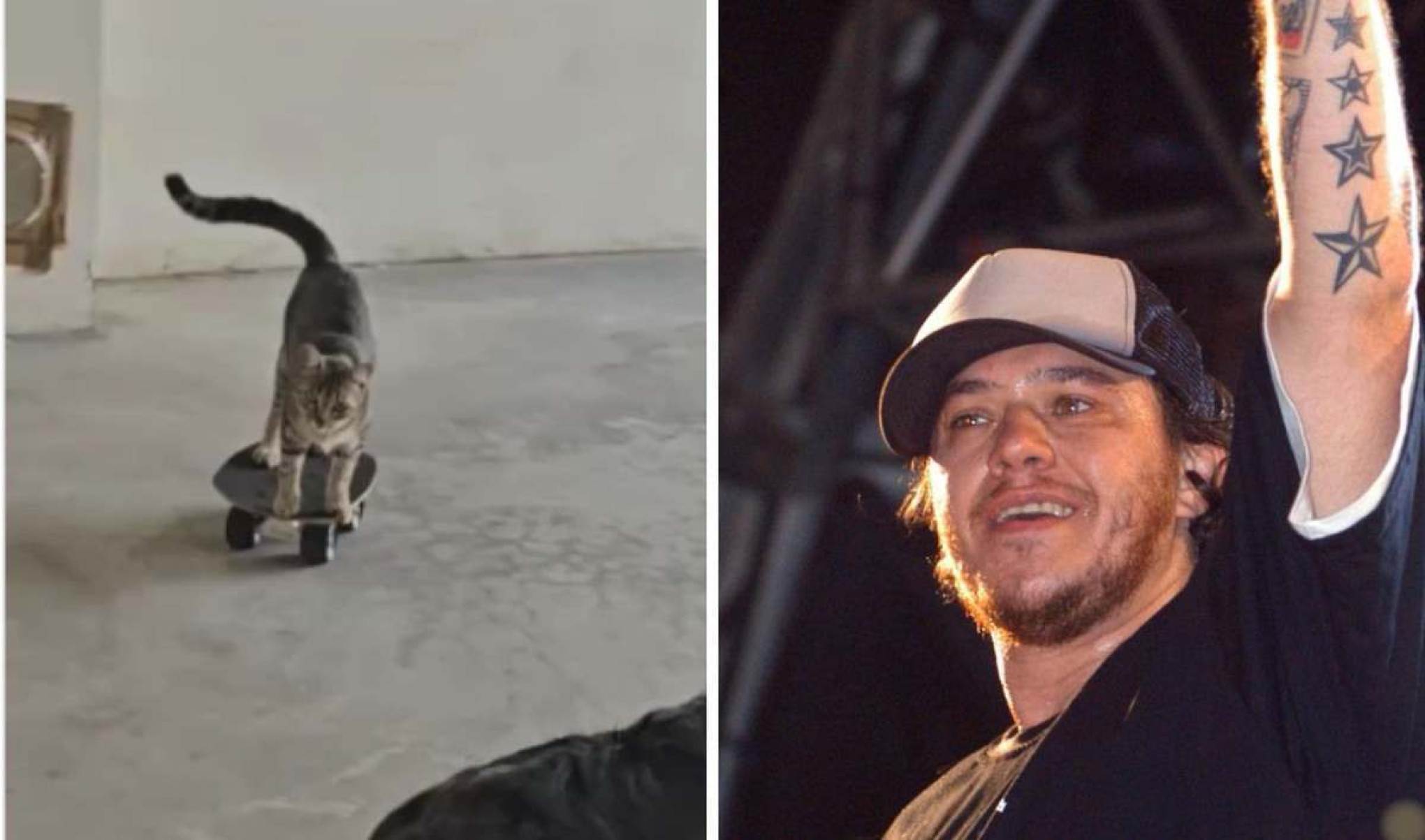 Vídeo: gata viraliza ao andar de skate ao som de Charlie Brown Jr.