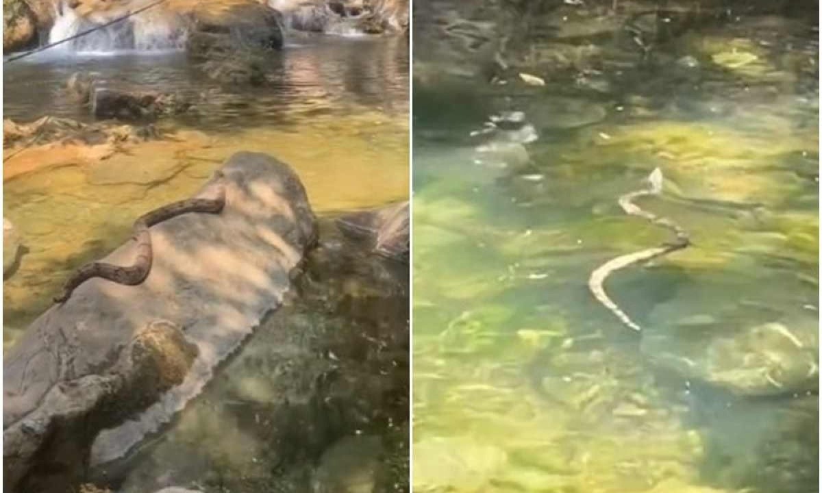 Jovem viu cobra em cachoeira do Entorno do DF -  (crédito: Reprodução/TikTok/@fonseca_kay)