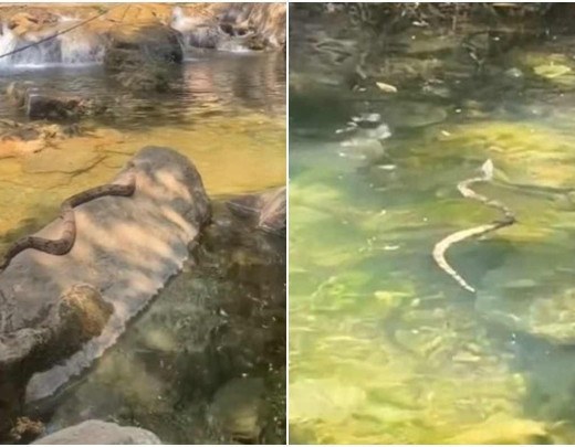 Jovem viu cobra em cachoeira do Entorno do DF -  (crédito: Reprodução/TikTok/@fonseca_kay)