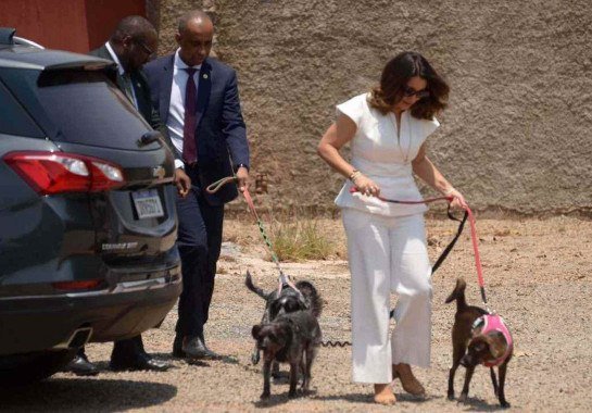  Ed Alves/CB/DA.Press