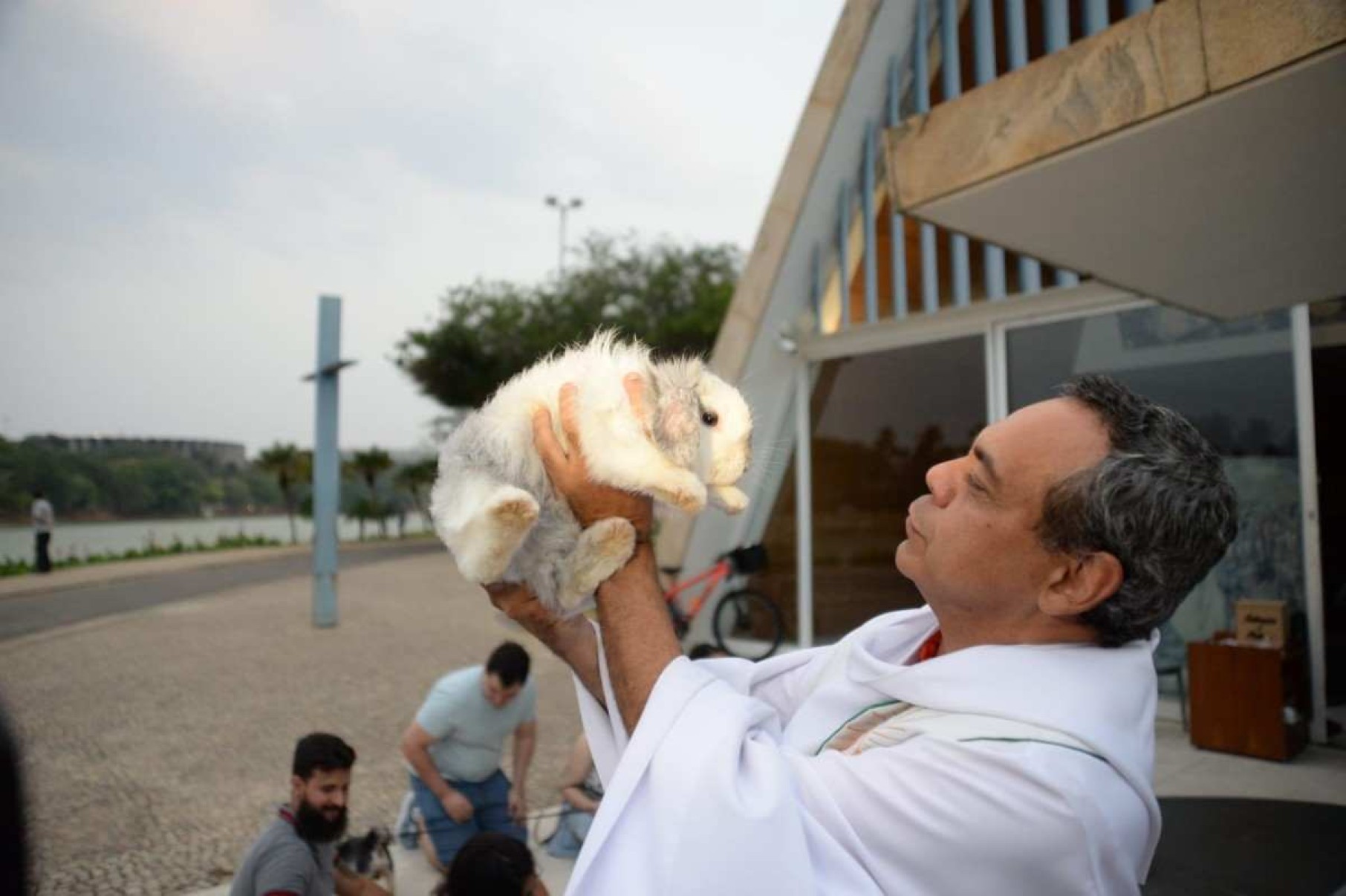 No domingo (6/10) freis da Ordem dos Frades Menores (OFM), criada pelo próprio São Francisco, irão abençoar os animais novamente
