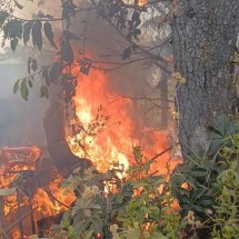 Grande BH registra 101 ocorrências de incêndio em vegetação nas últimas 24h - Divulga&ccedil;&atilde;o / CBMMG