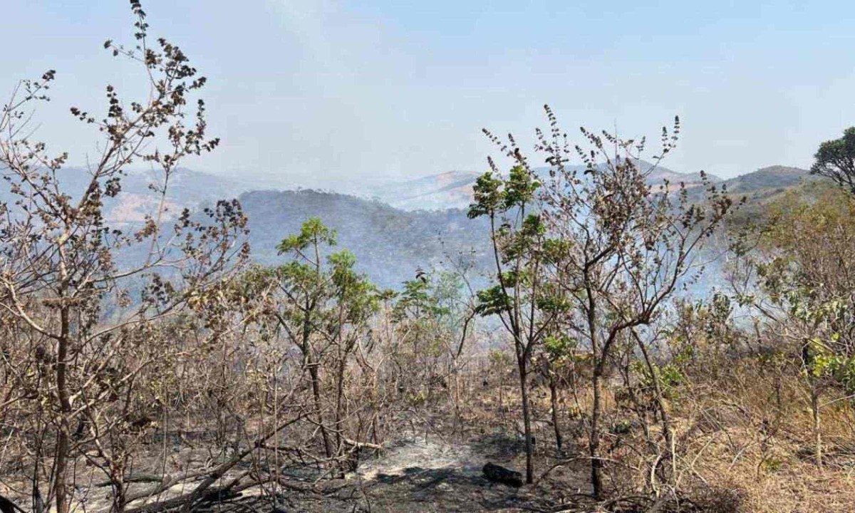 Incêndio em condomínio na Serra da Moeda, Região Central de Minas, destrói vegetação há três dias -  (crédito: Edésio Ferreira/EM/D.A.Press)