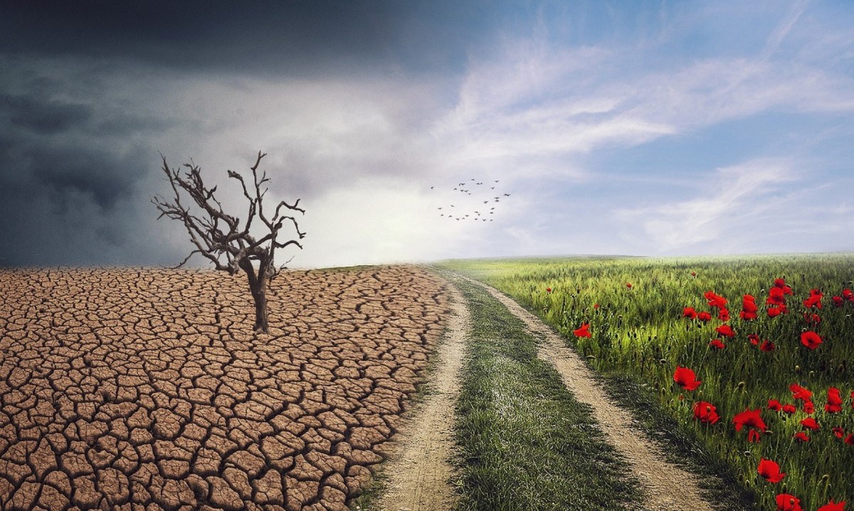 Mudanças climáticas – um cenário preocupante -  (crédito: Uai Turismo)