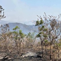 Prefeito sugere que moradores contratem caminhões-pipa contra incêndios - Edésio Ferreira/EM/D.A.Press