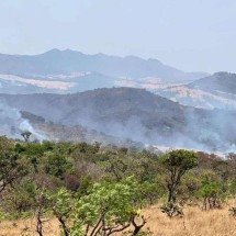 ‘Visão apocalíptica’, diz geógrafa sobre incêndio na Serra da Moeda - Edesio Ferreira/EM/D.A Press