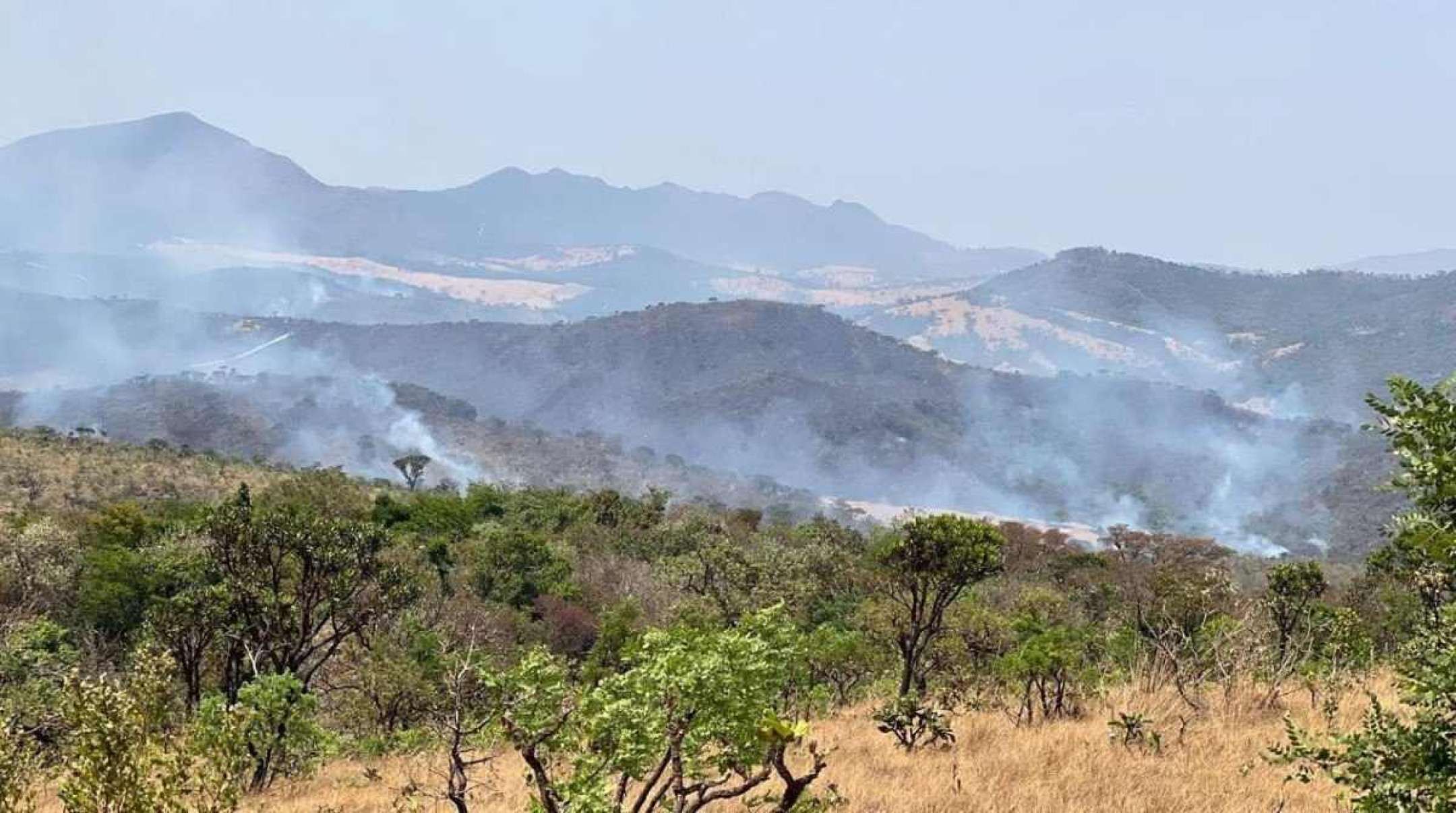 ‘Visão apocalíptica’, diz geógrafa sobre incêndio na Serra da Moeda