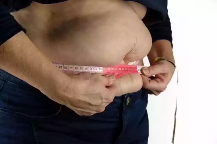 No ritmo atual, quase metade dos adultos brasileiros (48%) terá obesidade até 2044, e outros 27% apresentarão sobrepeso -  (crédito: Pixabay)
