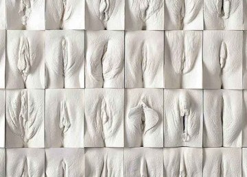  Em qual padrão essas mulheres, as mulheres estão se espelhando quando elas falam que a coloração, o formato, o tamanho da sua vulva deveria ser diferente?  -  (crédito: Obra Jamie McCartney - foto divulgação)