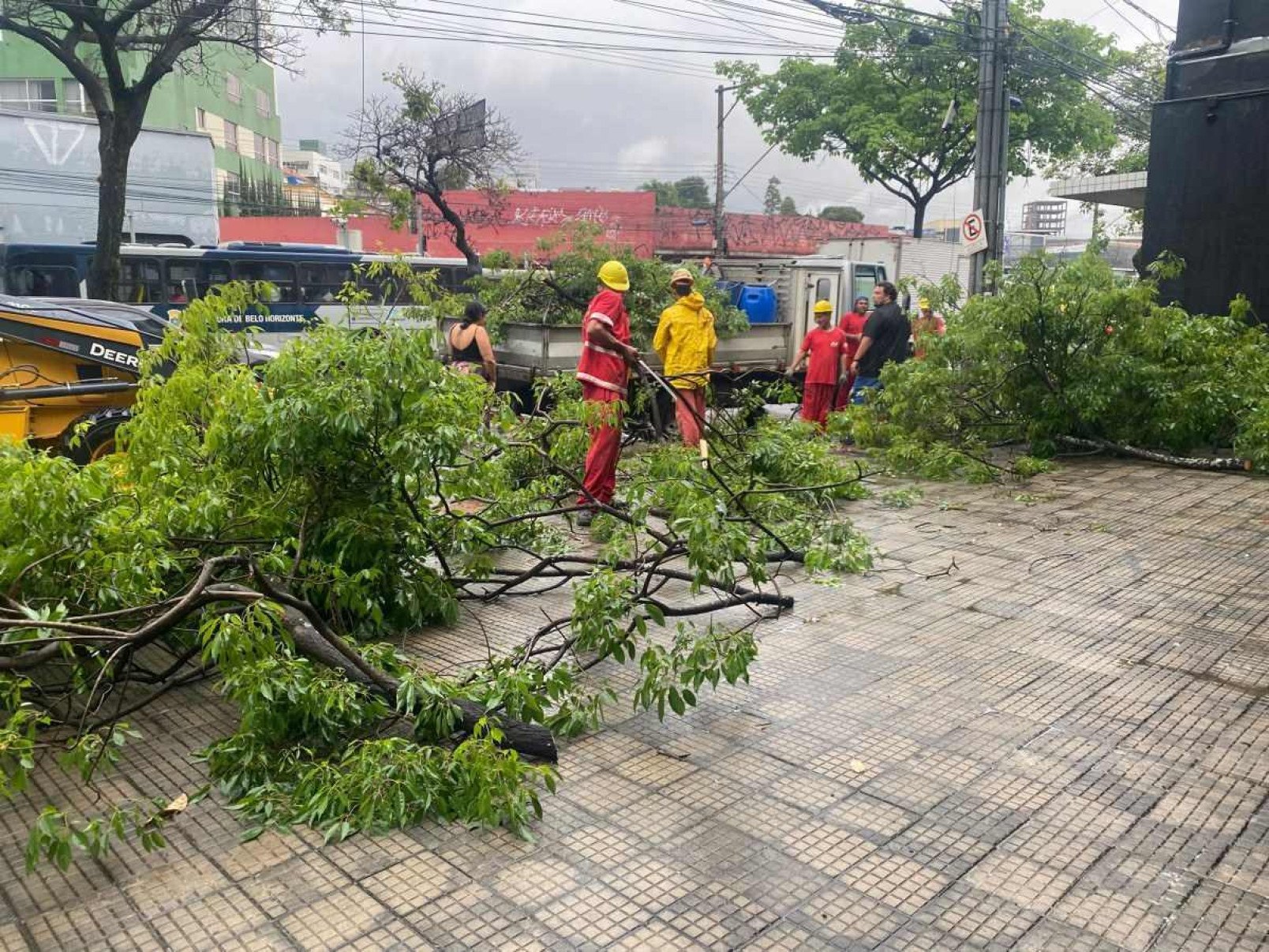 Chuva em BH: árvore cai e atinge carro na Avenida Pedro II